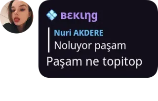 🌟 Noluyor paşam
Paşam ne topitop telegram sticker