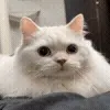 😶