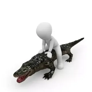 🐊 stick figure, alligator, crocodile, riding, animal, reptile telegram sticker