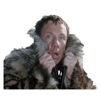 😱 man, cold, winter, fur coat, expression, person telegram sticker
