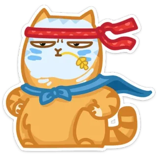 😎 chat, autocollant, rouge, animal telegram sticker