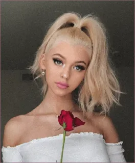 💫 femme, personne, portrait, fleur, rose, beauté, blonde telegram sticker