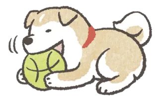 😋 cachorro, bola, animal de estimação, animal, fofo, brincalhão whatsapp sticker