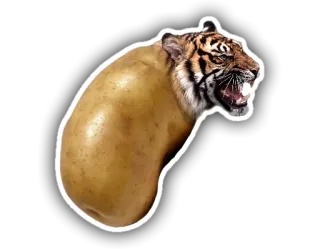 🐯 tigre, patata, animal, comida, divertido, híbrido, meme whatsapp sticker