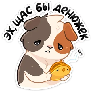 💸 Эх щас бы денюжек conejillo de indias, lindo, dibujos animados, pegatina, animal, dinero, triste telegram sticker