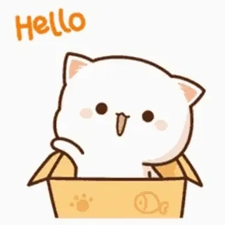 👋 HELLO แมว, กล่อง, สวัสดี, น่ารัก, การ์ตูน whatsapp sticker