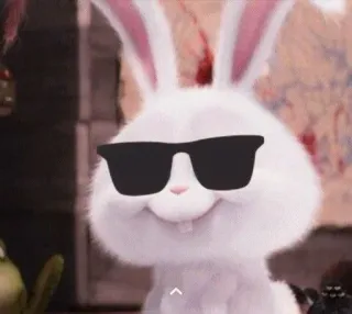 🐰 Snowball The Secret Life of Pets coelho, coelhinho, óculos de sol, personagem de desenho animado, animal whatsapp sticker