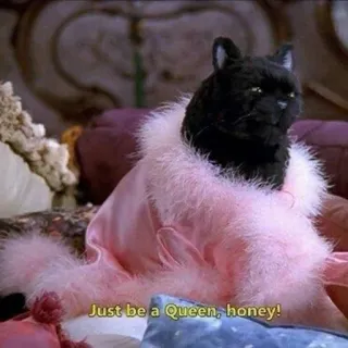 👸 Just be a Queen, honey! cat, queen, pink, animal, pet, sassy telegram sticker