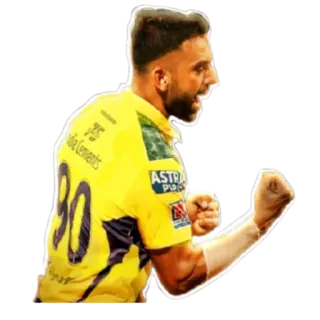 🥳 90 sport, cricket, atleta, celebrazione, squadra, maglia telegram sticker