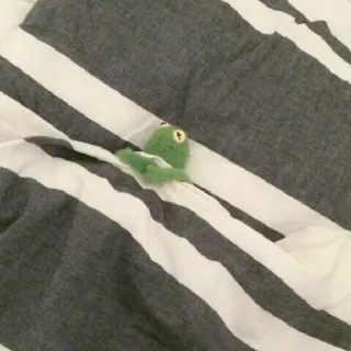 😴 лягушка, зеленый, игрушка, в полоску, ткань, кукла telegram sticker