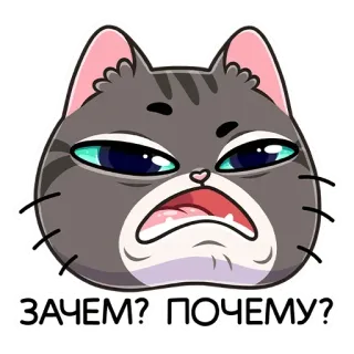 😫 ЗАЧЕМ? ПОЧЕМУ? chat, autocollant, russe, question, dessin animé, animal whatsapp sticker