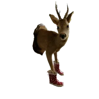 🐴 animal, cerf, bottes, mignon, drôle, fantaisiste whatsapp sticker