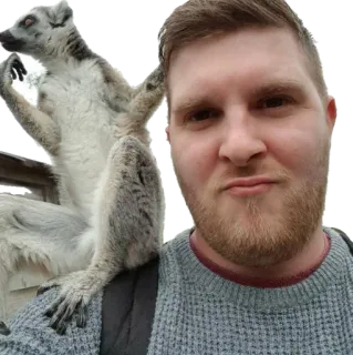 🦁 man, lemur, animal, friendship, zoo, shoulder, cute, mammal telegram sticker