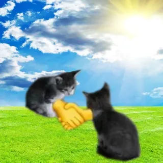 🤝 kotek, uścisk dłoni, koty, emoji, zgoda, zwierzę telegram sticker