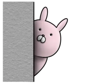 😳 conejo, mirando, escondido, animal, lindo, rosa, pared whatsapp sticker
