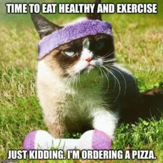 🍕 TIME TO EAT HEALTHY AND EXERCISE
JUST KIDDING. I'M ORDERING A PIZZA. 猫, 暴躁猫, 披萨, 运动, 搞笑, 幽默, 表情包 whatsapp sticker