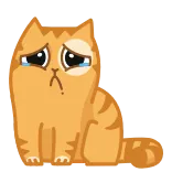 😭