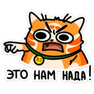 ⭐ ЭТО НАМ НАДА! Katze, wütend, Gesichtsausdruck, Cartoon telegram sticker