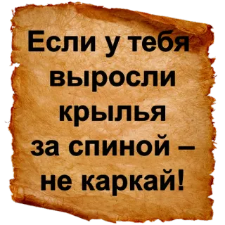 🐦 Если у тебя выросли крылья за спиной – не каркай! крылья, поддержка, мотивация, русский, свиток telegram sticker