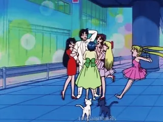 😫 Sailor Moon Life of Sailor Moon 90s Anime, Sailor Moon, Anime anni '90, Gruppo, Amici telegram sticker