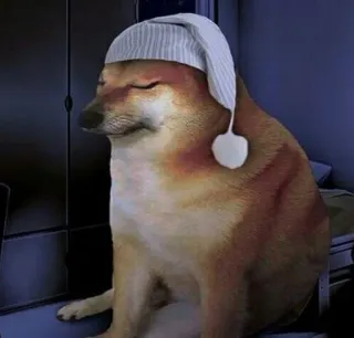 🎌 Doge dog, meme, sleepy, cute, animal, sleep telegram sticker