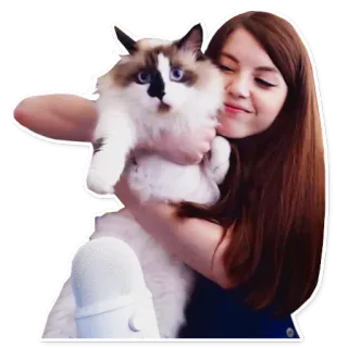 Olyashaa_starter_pack telegram stickers
