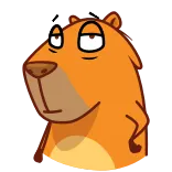 👍 Desenho animado, Animal, Urso, Engraçado, Presunçoso telegram sticker