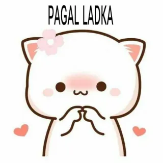 😋 PAGAL LADKA 고양이, 꽃, 하트, 귀여운, 만화, 힌디어, 소년 telegram sticker