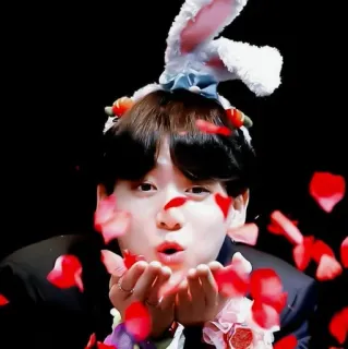 moon bunnies - @kookiepics :: @fStikBot telegram stickers