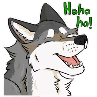 😆 Haha ha! lobo, risa, dibujos animados, gracioso, feliz, meme whatsapp sticker