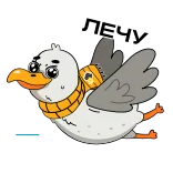 🏃‍♀️ ЛЕЧУ bird, flying, cute, sticker telegram sticker