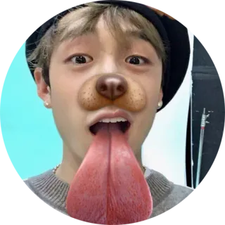 😛 dog filter, tongue, funny, selfie, portrait, teen, ears, digital sticker telegram sticker