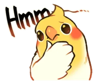 😐 Hmm pássaro, calopsita, hmm, pensando, fofo telegram sticker