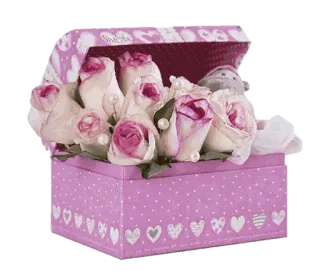 🌸 hoa hồng, hoa, quà tặng, hộp, tình yêu, ngày Valentine, màu hồng, trái tim telegram sticker