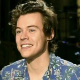 🌸 Harry Styles harry styles, chanteur, célébrité, portrait, homme telegram sticker