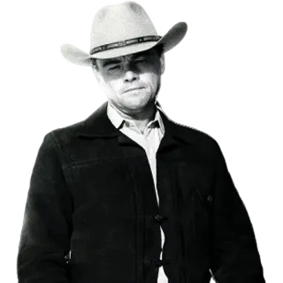 😕 leonardo dicaprio, koboi, western, aktor, topi, hitam putih telegram sticker