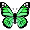 🦋