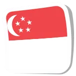 🇸🇬