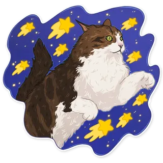 🤩 gatto, stelle, spazio, adesivo, cometa, carino, animale domestico, animale telegram sticker