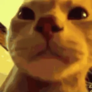 😐 gatto, meme, animale, animale domestico, divertente telegram sticker