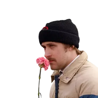 🌸 man, bloem, Ryan Gosling, acteur, roze, anjer, muts whatsapp sticker
