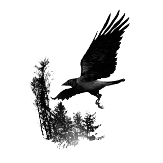 🐔 bird, crow, trees, flying, nature, black and white telegram sticker