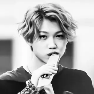 🌟 Felix K-Pop, Певец, Портрет, Черно-белое, Айдол, Знаменитость, Stray Kids telegram sticker