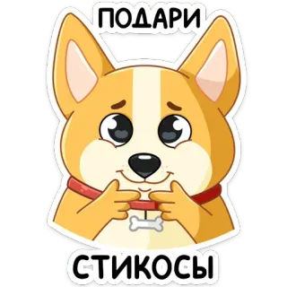 🥎 ПОДАРИ
СТИКОСЫ cão, corgi, fofo, adesivo, texto russo telegram sticker