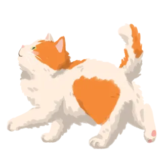 ❤️ gatto, gattino, arancione, bianco, animale, animale domestico, domestico, carino telegram sticker