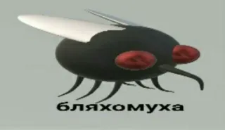 💬 бляхомуха муха, насекомое, мат, русский, ругательство, богохульство telegram sticker