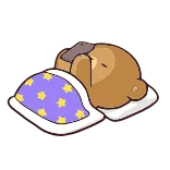 😴 หมี, ง่วง, สัตว์, การ์ตูน, น่ารัก, เหนื่อย, เตียง, ดาว telegram sticker