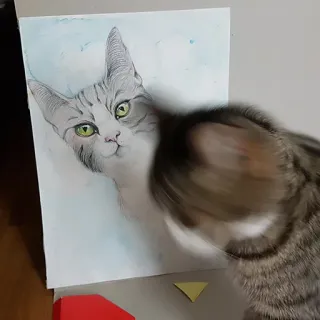 🎨 Katze, Tier, Haustier, Zeichnung, Porträt whatsapp sticker