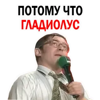 🌸 ПОТОМУ ЧТО ГЛАДИОЛУС telegram sticker