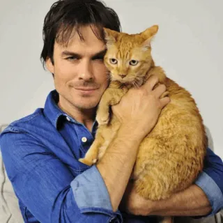 🖤 Ian Somerhalder aktor, kucing, hewan peliharaan, binatang, pria telegram sticker